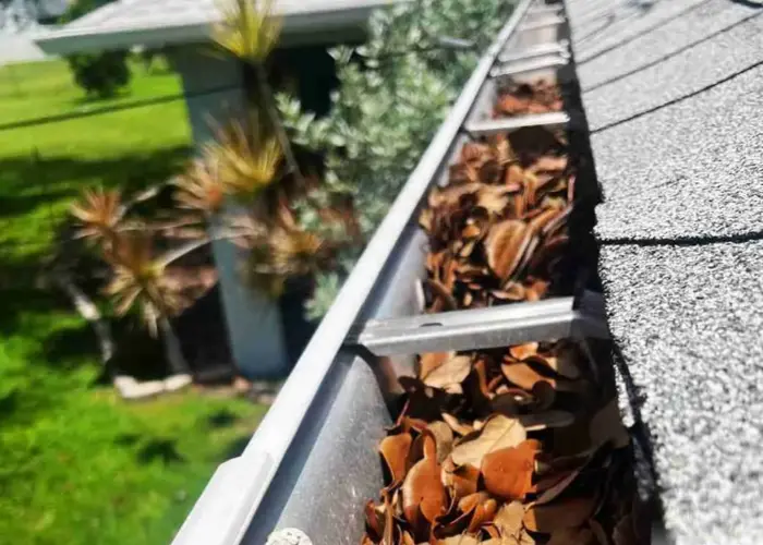 Clintonville gutter cleaning home page